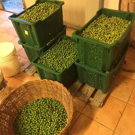 Casa Baldoni Matelica